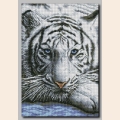 Схема для вышивания бисером ТМ ОРХИДЕЯ "Белый тигр" 